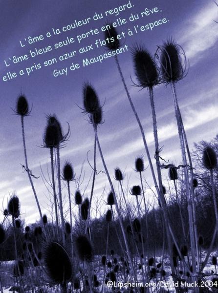 Moi et moi Dis?-Oui?...3